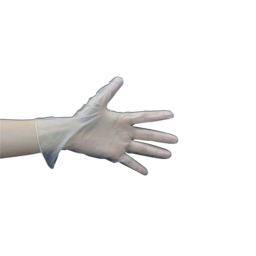 High Cleanliness Softness Disposable Sky Blue Pvc Powder Free Non Sterile Vinyl Gloves