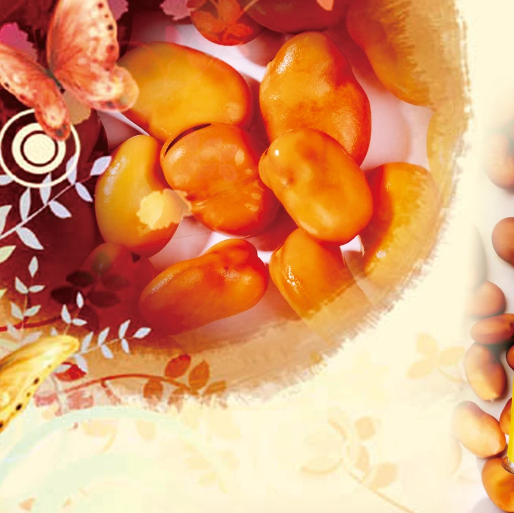 bulk fava beans foul medames in tins for sale canned broad beans red beans