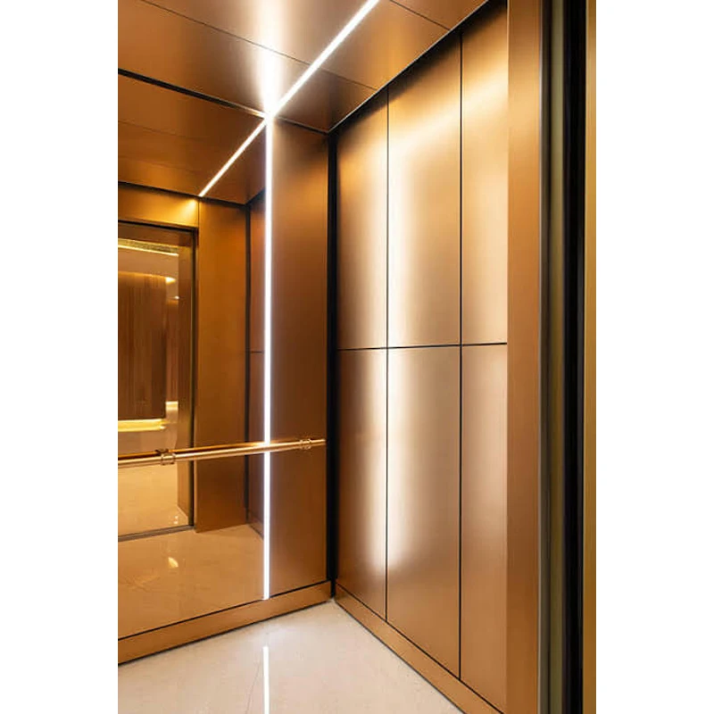 ORIA mordenized home resident home Villa elevator Cheap office building / residential passenger lift elevator