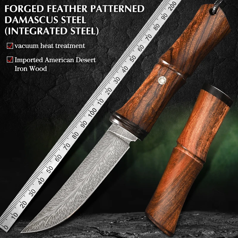 Amazing top quality Damascus steel Pocket Knife Forged feather patterned blade with American Desert Iron Wood