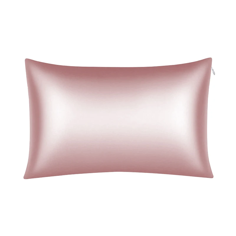 Natural Luxury 19MM 100% mulberry silk Zipper Pillow Case smooth Silk Pillowcase