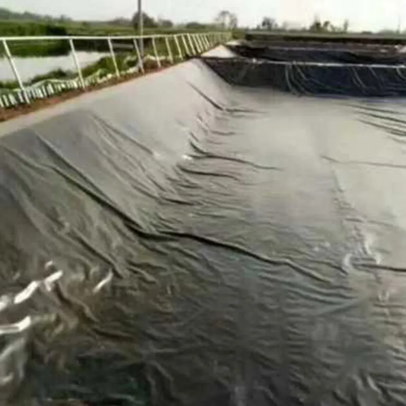 Environmental Friendly  Pond Liner Hdpe Geomembrane Circular Tanks For Aquaculture 1Mm