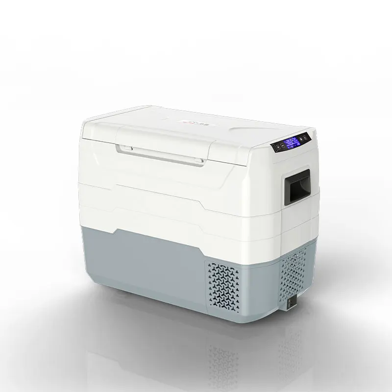 WAYCOOL TE45 40L Outdoors Camping High Quality Electric Car Fridge DC12V/24V AC100~240V with CE CB SAA