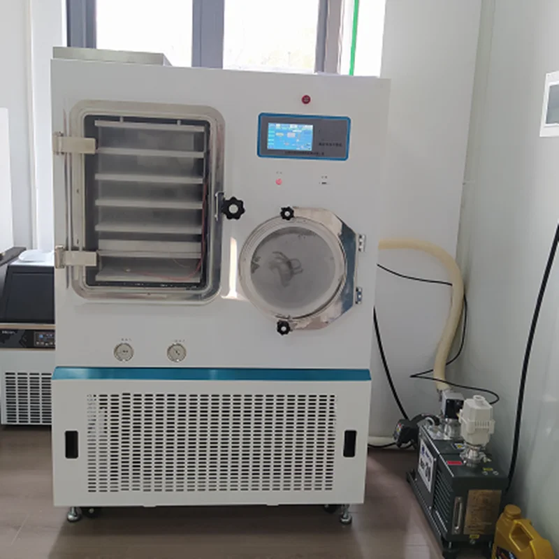 Freeze dryer machine 20kg mini-freeze-drying-machine industrial lyophilize machine