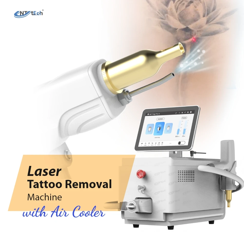 Mini nd yag laser 1064 q-switched pigmention tattoo removal machine