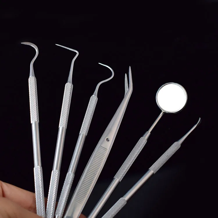 Wholesales High-end Stainless Steel  Professional Beauty Personal Care Dental Hygiene Kit for Home Use Tools
