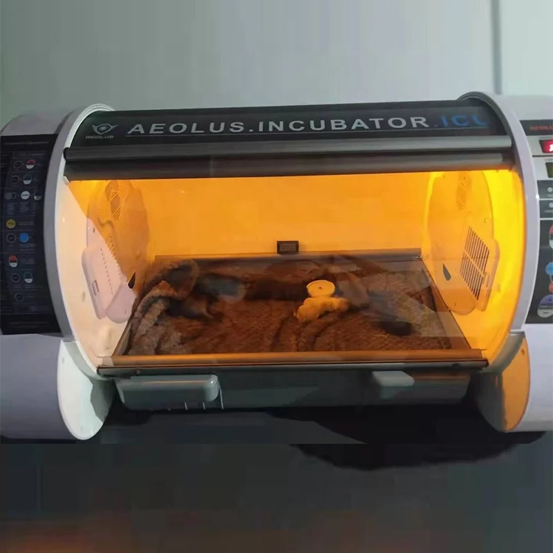 Ysenmed Pet Puppy Incubator Veterinary Equipment Instrument Dog Large Puppy Incubator With Oxygen Nebulizer