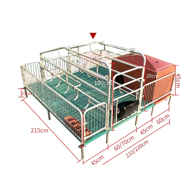 Best Selling Gestation Stalls Group Housing Equipment For Pig Farm