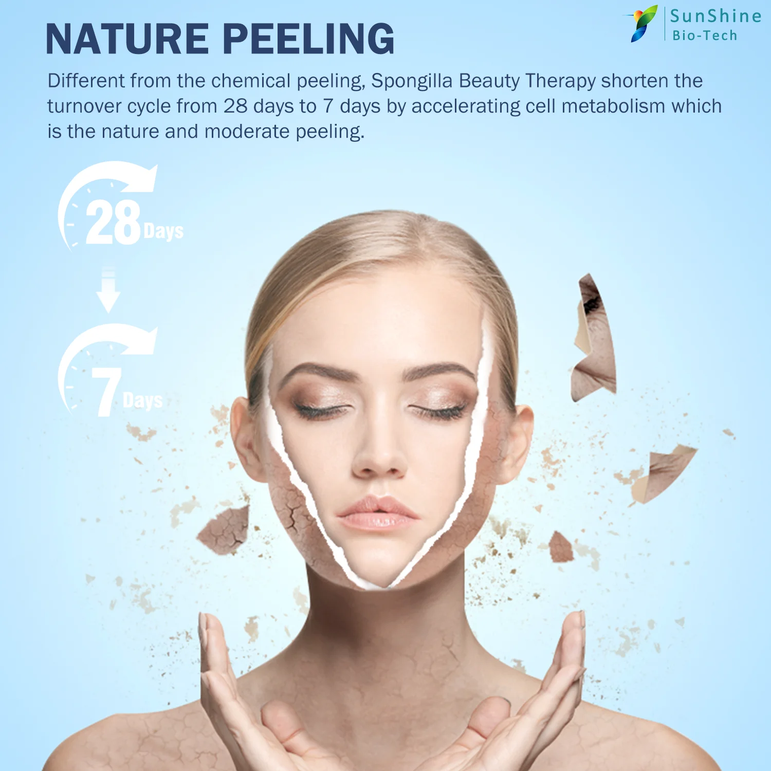 Natural Cosmetic Ingredient Spongilla Powder Anti - Aging Wrinkles Spicule Peeling to Acne Products Suitable for Oily Skin