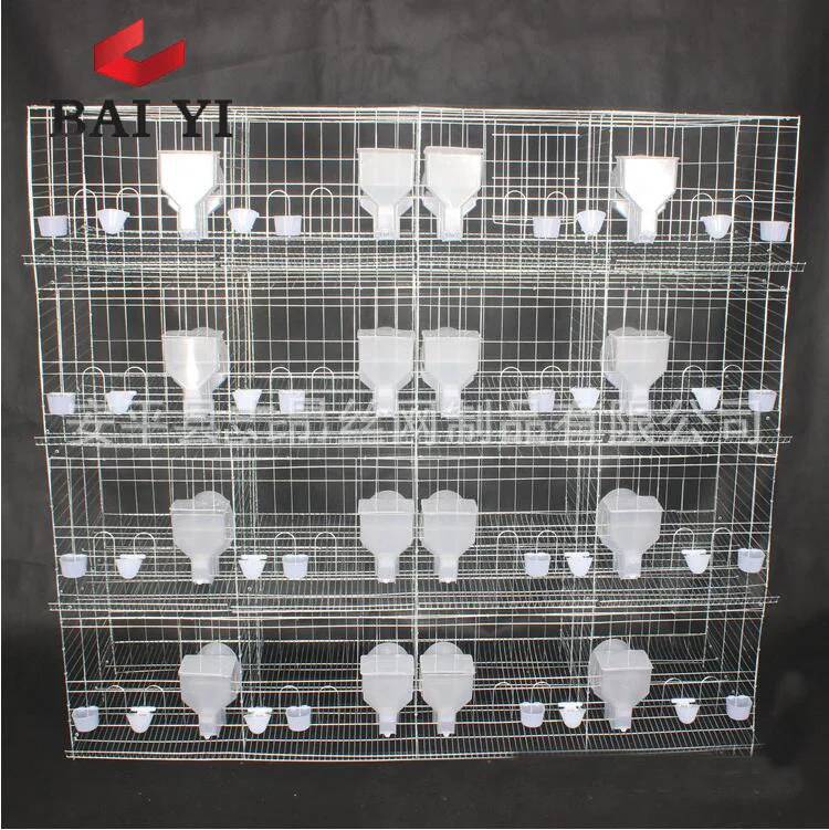 chicken cage design pigeon coops pigeon breeding cage