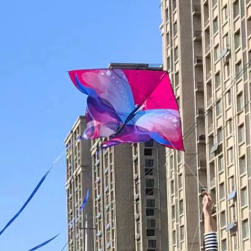 Wholesale Polyester Fabric Kite Cloth Delta Shape With Good Quality