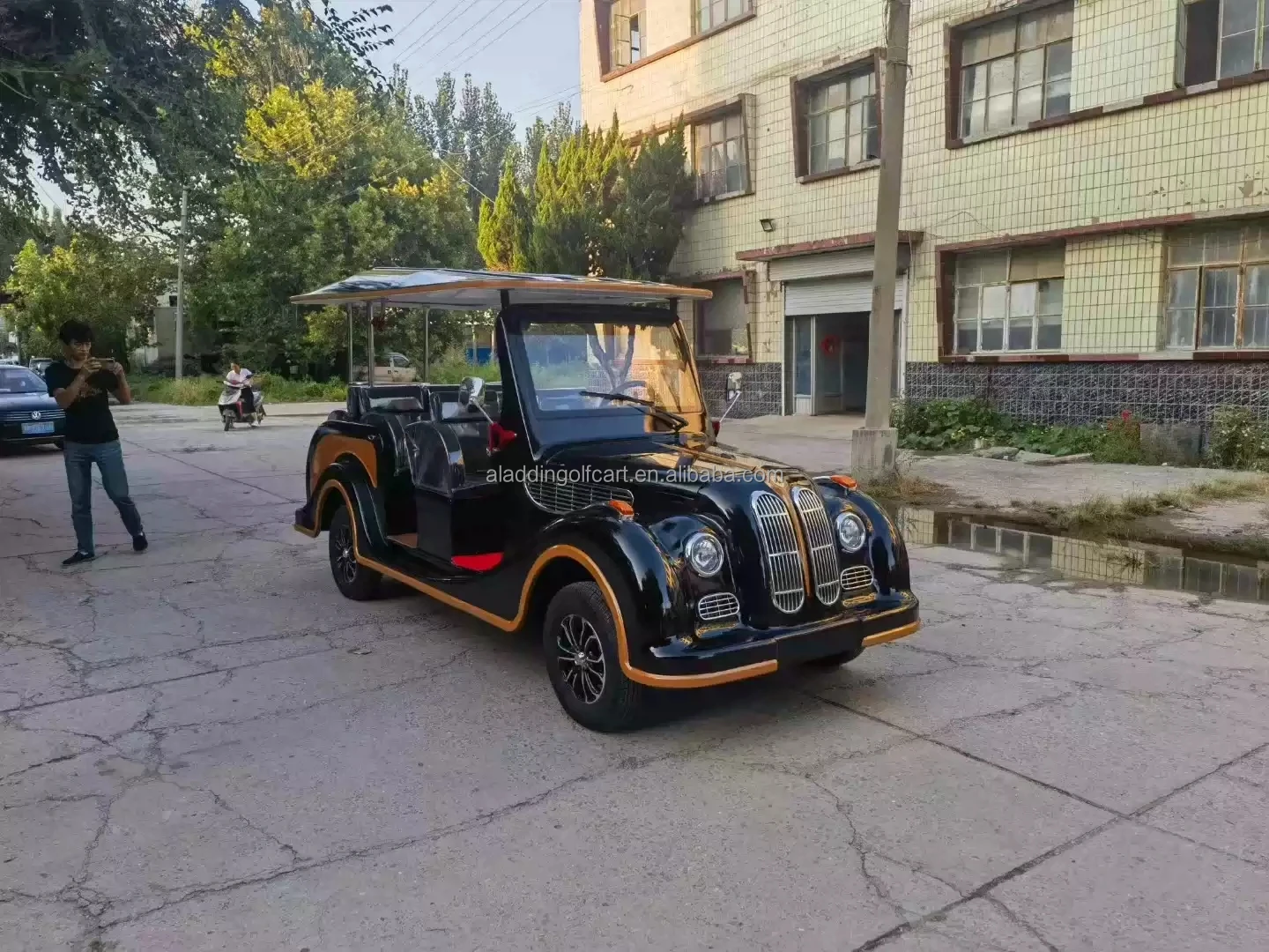Китай 8 мест Электрический туристический автобус классический автомобиль
