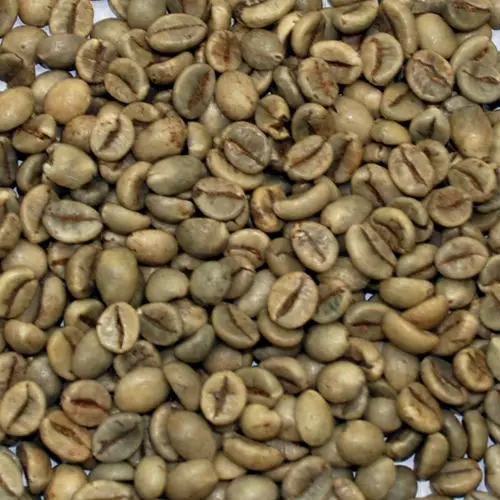 VIETNAM ROBUSTA COFFEE GREEN BEANS UNROASTED S16 WASHED NEW CROP 2023 2024 WHOLESALE LOW PRICE FACTORY HANFIMEX 0084374074818