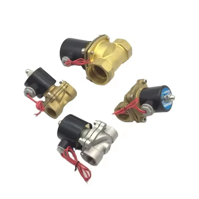 2W Normally Close Electric Brass 12V 24V 220V Solenoid Valve for Water Control Two Way Magnetic Water Solenoid Valve