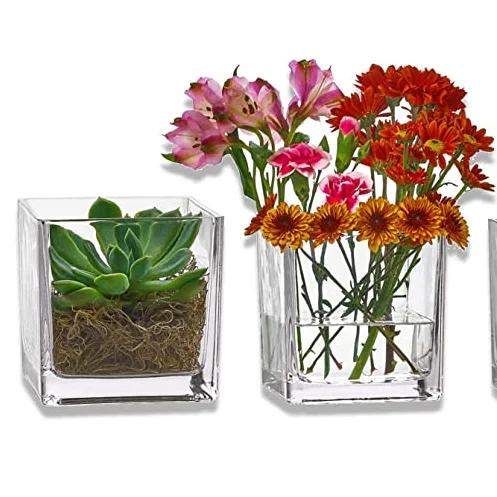 Clear Glass Planter Flower Pot Square Plant Pot for All House Plants, Succulents, Herb, African Violets