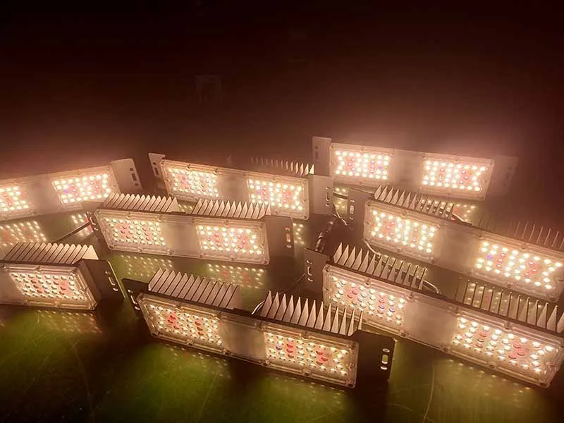 2024 High PPFD IP65 Full Spectrum Sunlike color 100W Plant Grow Light for wholesale