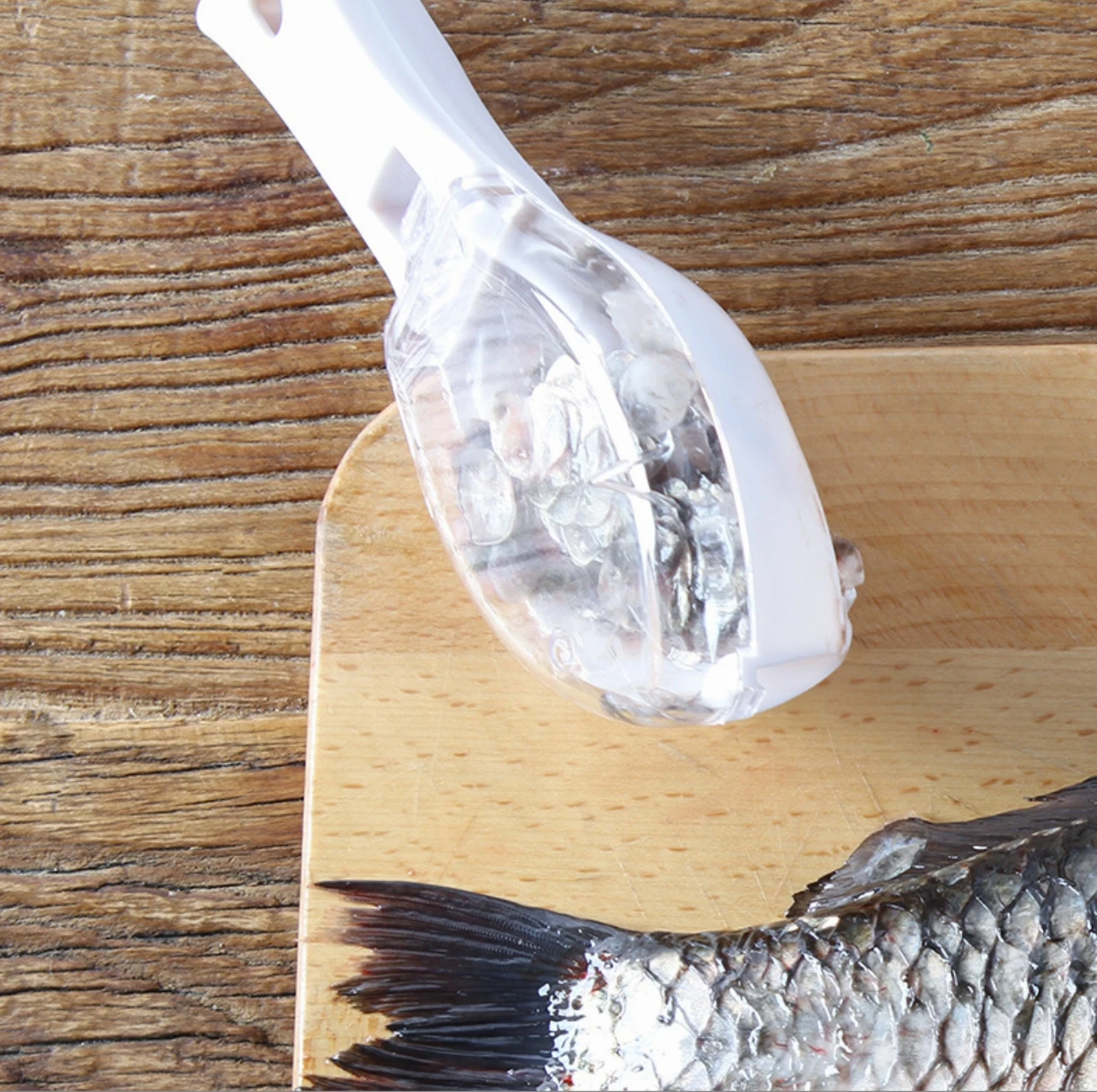 Manual Fish Scales Scraper Home Seafood Tools Kitchenware Fish Scales Scraper with Storage Box