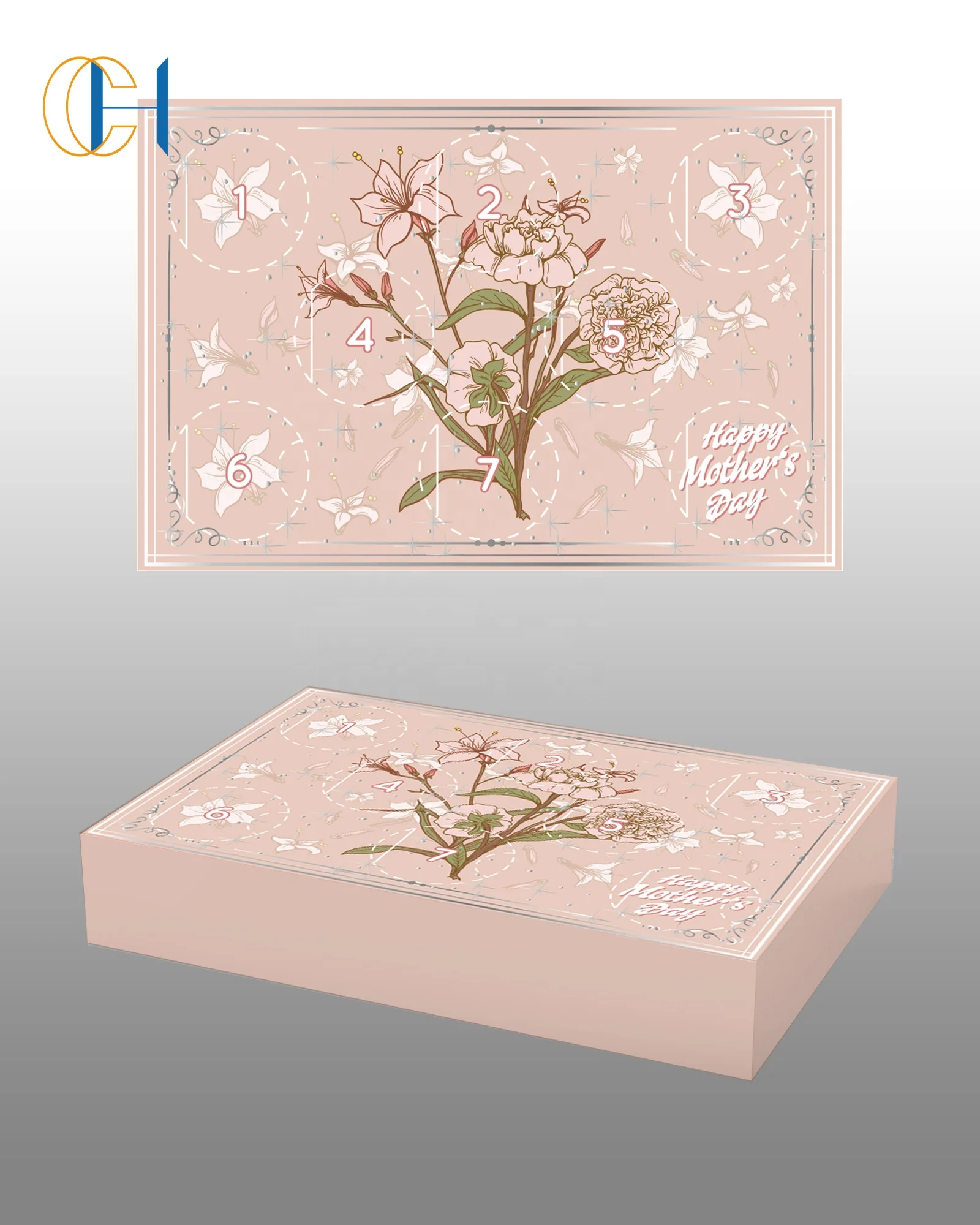 C&H Book Shape 12 Divide Toy Advent Calendar Packaging Kids Gadget Surprise Mystery Box Christmas Blind Box