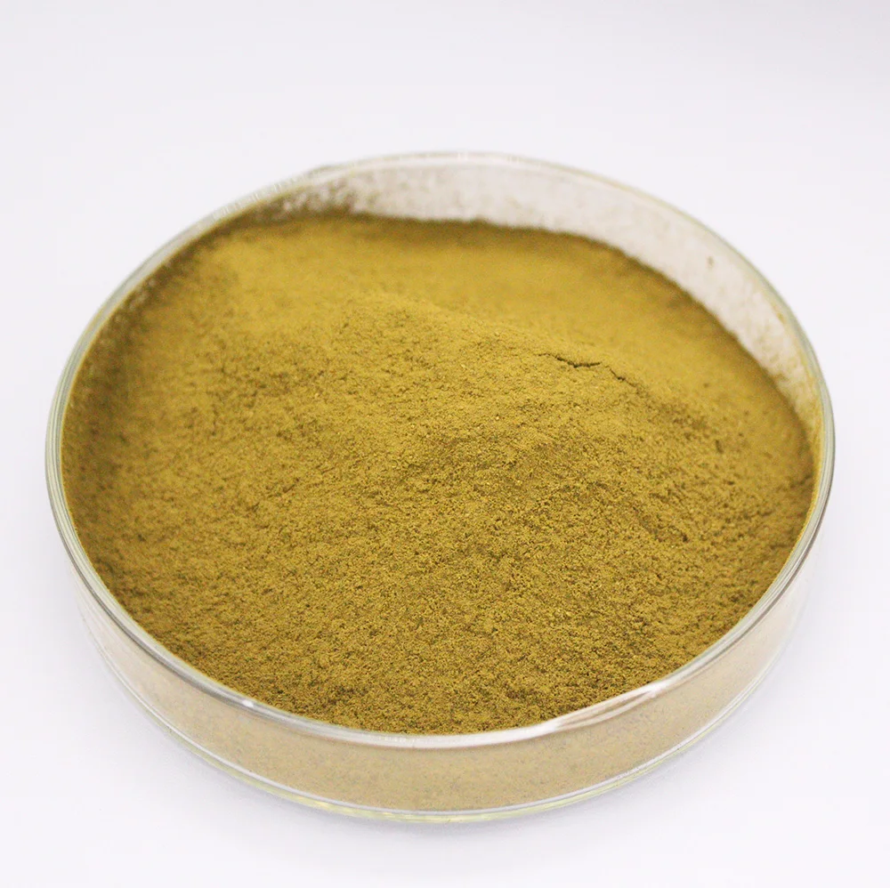 Manufacturer Supply Rosemary Extract  Price Carnosic Acid Organic Rosemary
