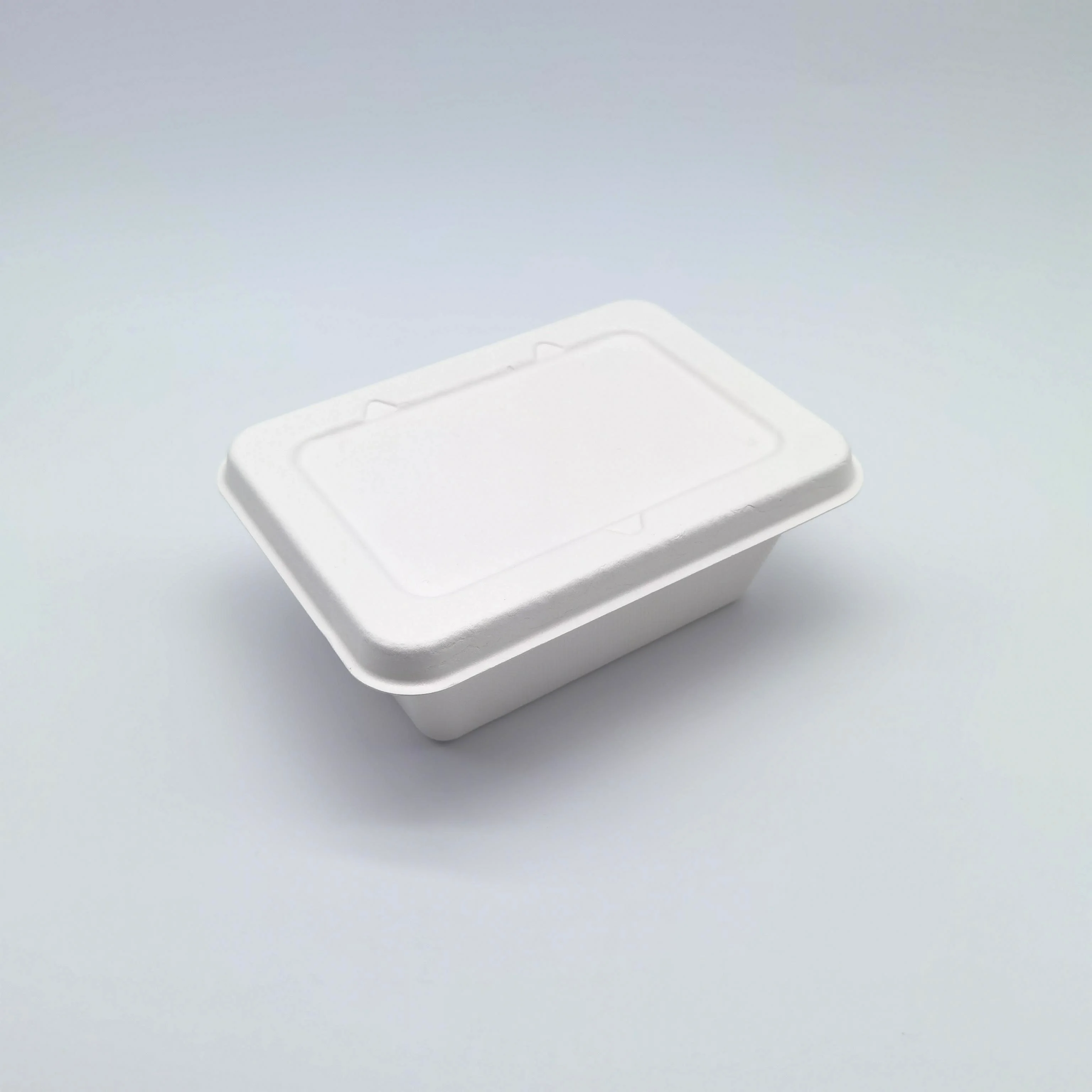 100% Compostable Biodegradable Sugarcane Bagasse Bento Box Bamboo Pulp Food Container