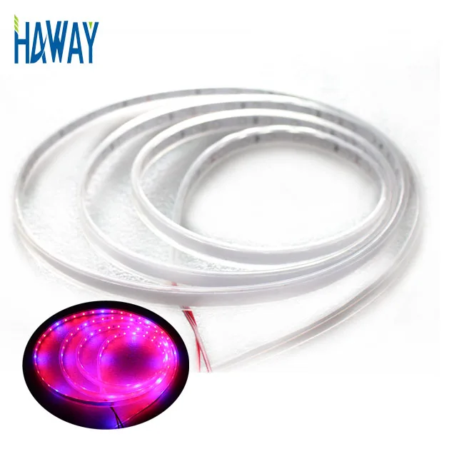 2835 Dc12v Led Strip Waterproof  Plant Grow Light Strips Red:Blue 3:1 5:1 Aquarium Greenhouse For Plant Grow Led Light