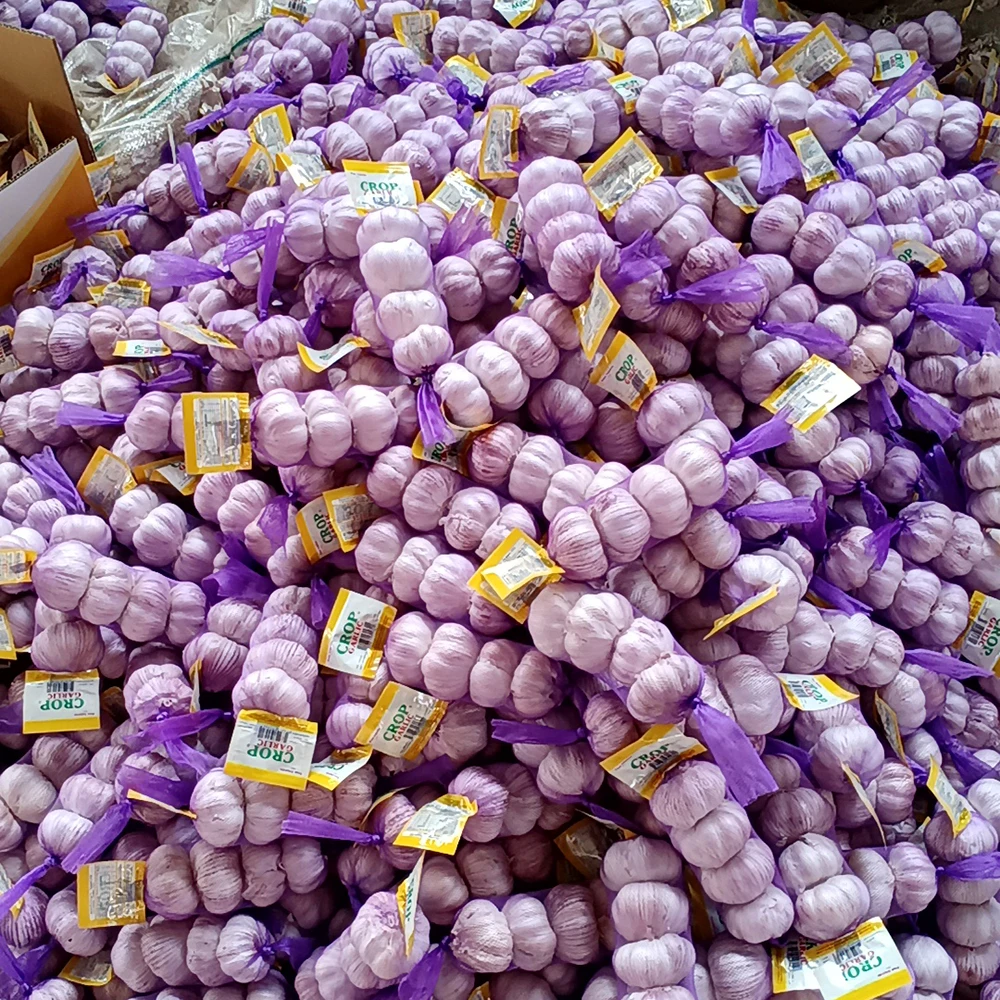 Производители, низкая цена, Обычный белый чеснок, оптовая продажа, Шаньдун, китайская фабрика