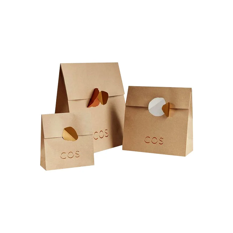 Hot Selling Unique Custom Latest Design Factory Manufacturer Recycle Paper Bags Packaging