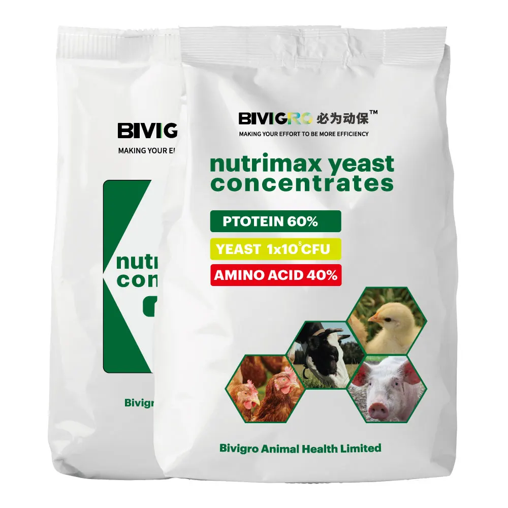 Supply Feed Additives Inactive Dry Yeast for Animal Feed 60% Protein