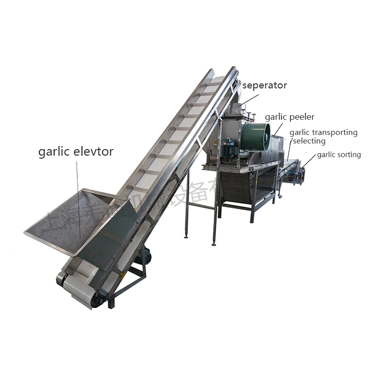 new automatic type dry garlic peeler machine/breaking equipment/small garlic splitter peeling line