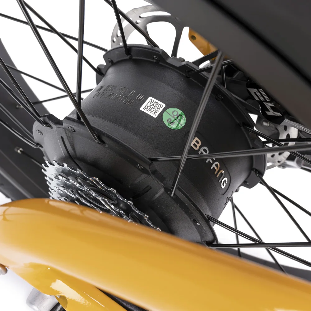 2023 Mario New Bird Hub Motor 250W Fat Tire Electric City Bike