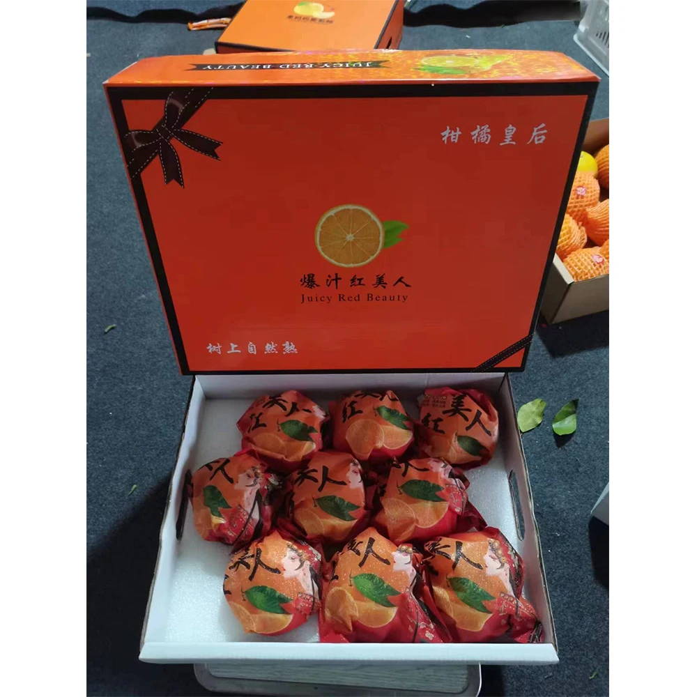 HONG MEI REN Juicy  Fruit Fresh Fruit China Mandarin Orange Price