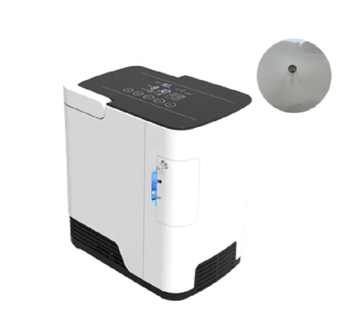 Камера d кислородный портативный воздушный фильтр для кислородного концентратора кислородный концентратор в Китае