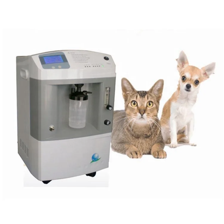 
10 liter animal Clinic Use veterinary Oxygen Concentrator 