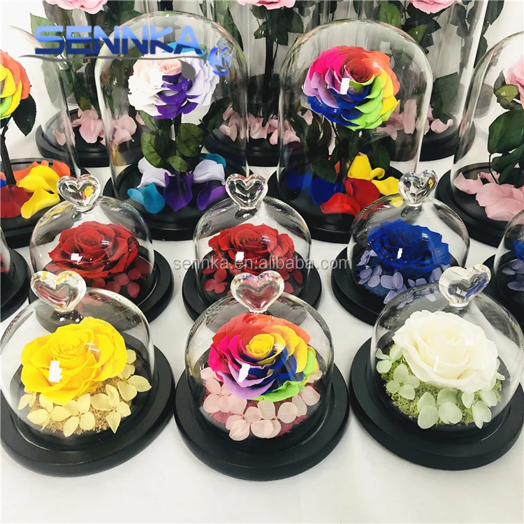 Freeze Dried Rose Petals perfectly preserved flower in mini glass dome