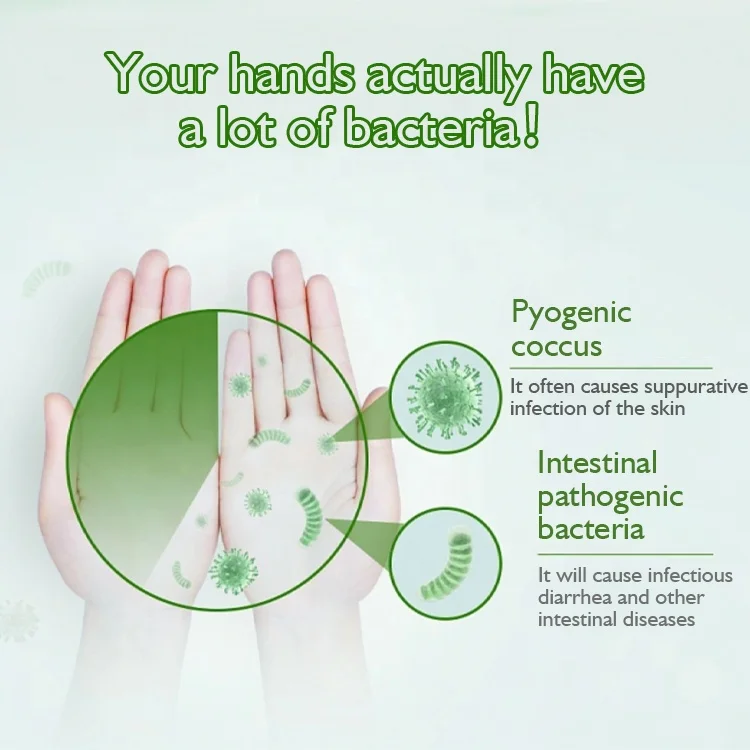 Factory Wholesale Private Label Organic Natural Liquid Foaming Shea Butter Almond Oil Hand Soap