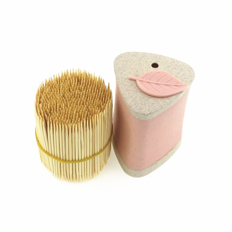 
Biodegradable Toothpick Bottle Disposable Oral Box Bamboo Tooth Pick 