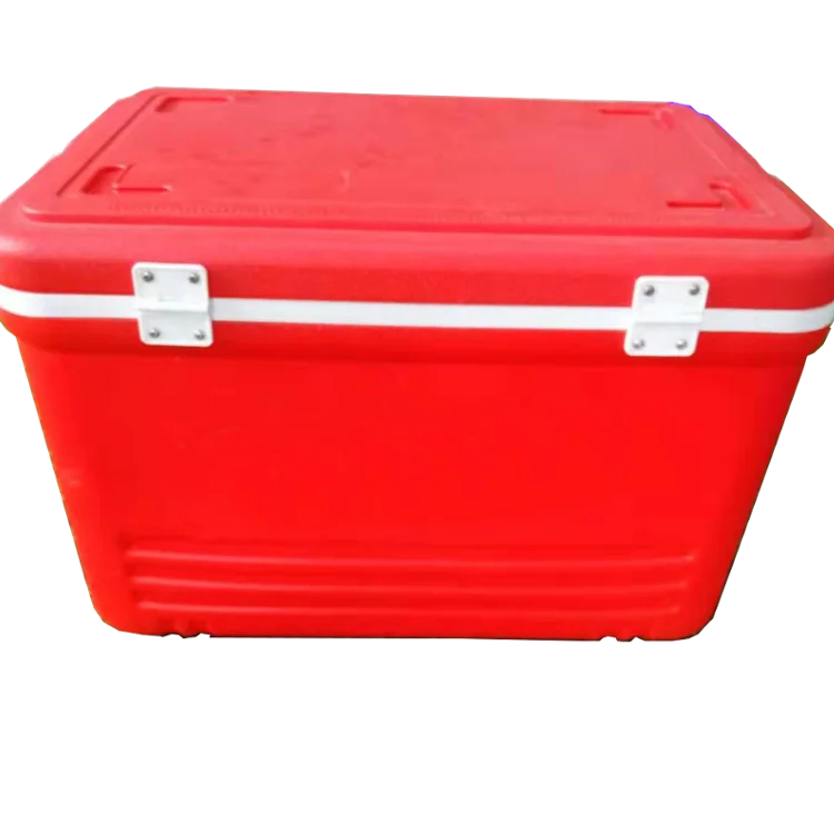 
New Insulin Portable Refrigerated Camping Medical And Fresh-keeping Storage Cooler Box 