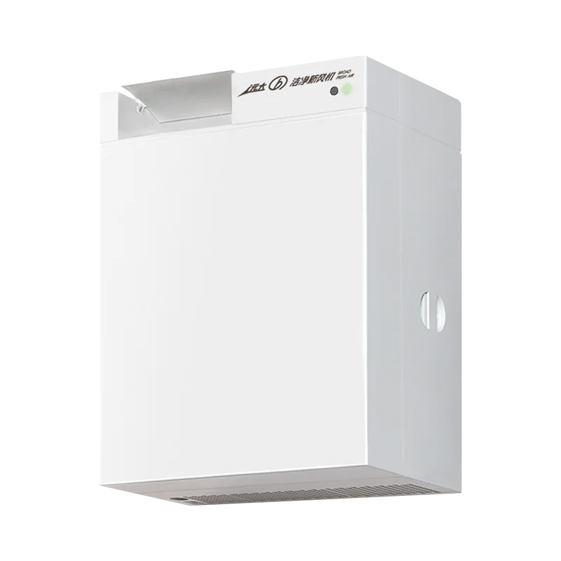 Factory direct sales Room wall mounted air purifier with 100% Fresh Air ERV Ventilation