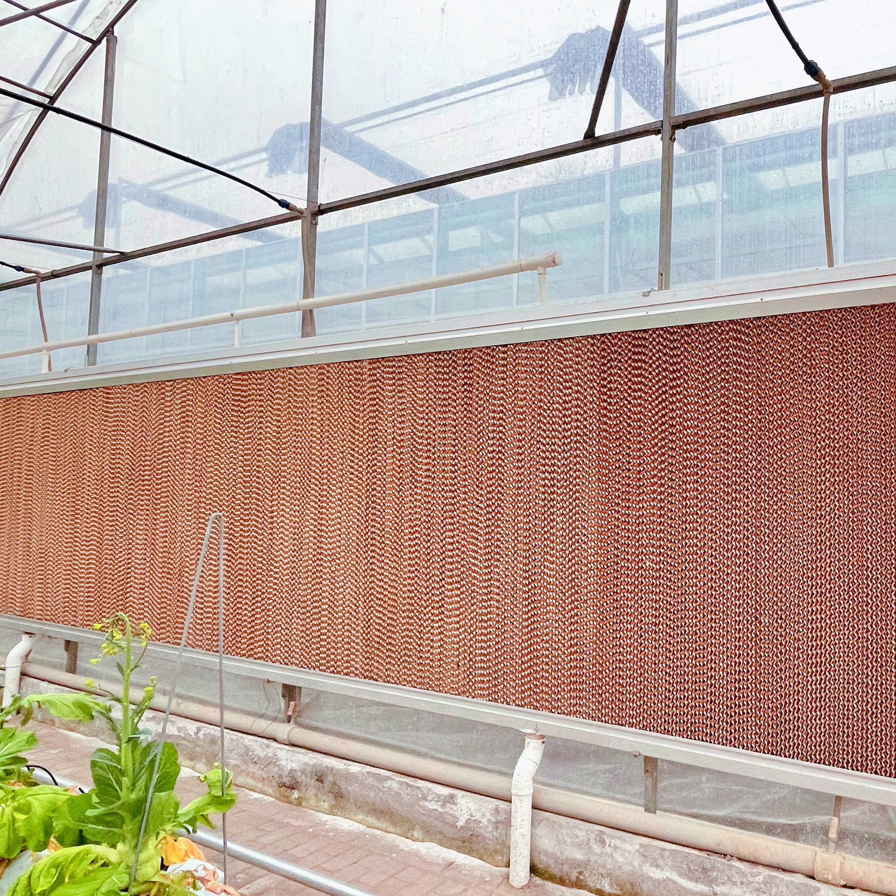green house evaporative pad/greenhouse accessories cooling wall wet pad