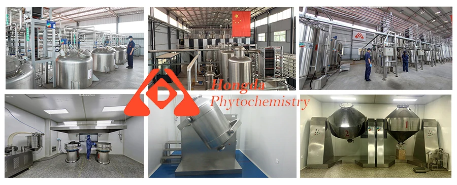 Hot Selling Food Additives Nutritional Supplements 99% White Powder Pure Glycine Powder