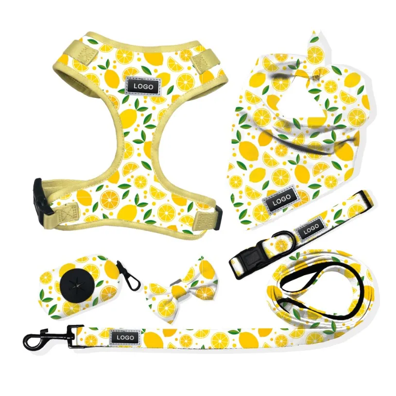 Hot Seller High Quality Custom adjustable collar bow leash harness and bandana sets