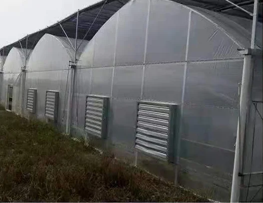 China  plastic  conservatory  ploytunnel winter commercial  chinese tomato/mushroom agricultural plastic film  greenhouses