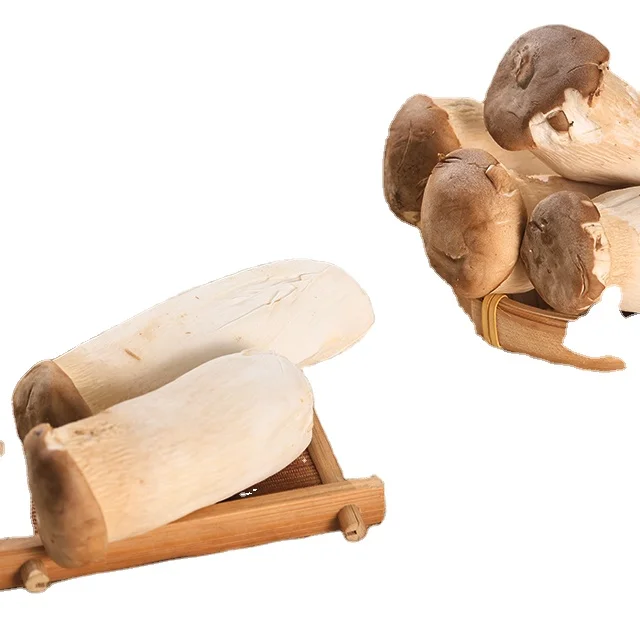 Finc fresh white mushrooms the king oyster mushroom low price