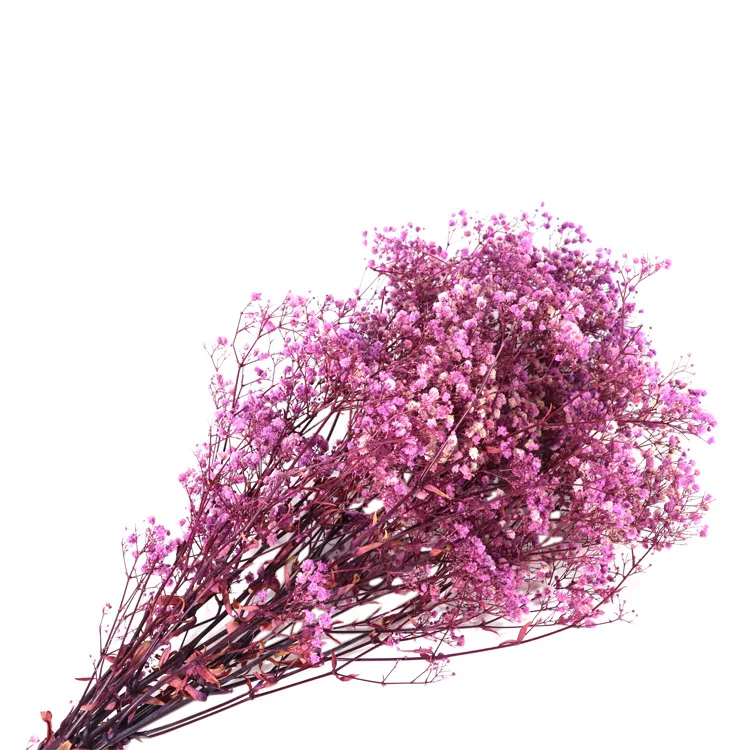  Подставки для расположения цветов сохраненный цветок gypsophila eternell декоративные листья натуральный