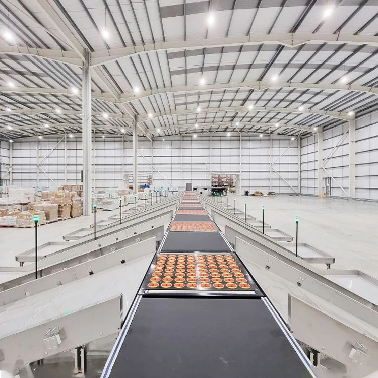 Passenger Check-in Airport Belt Conveyor System Idler Belt Conveyor Courier Sorting or Express - Buy Parcel Sorting System