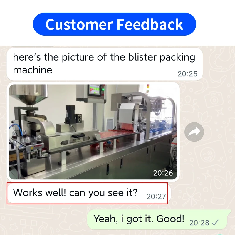 DPP Automatic Packaging Tablet Capsule Pill Flat Plate Strip Sealing Alu PVC Forming Blister Packing Machine Price For Sale