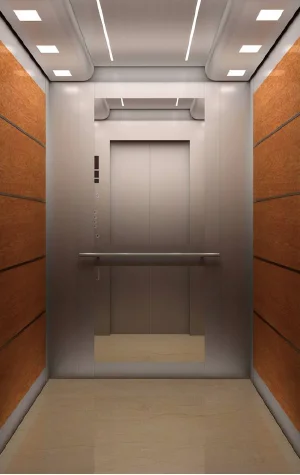 Residential  elevator  small ascenseur  villa ascensor home lifts for 5 -6 people