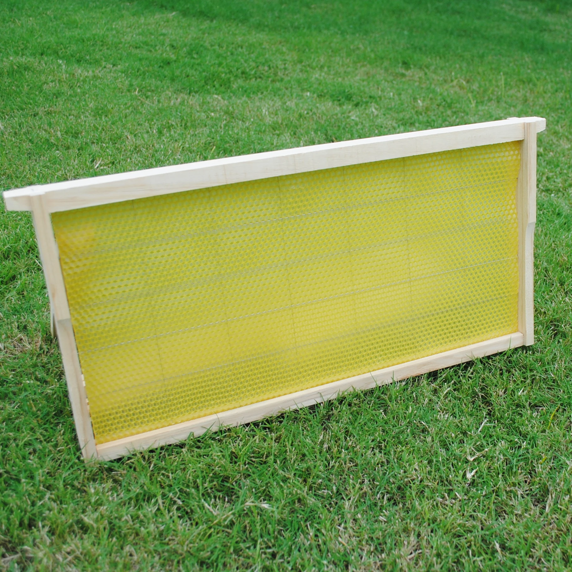 
New type in 2019 langstroth beehive frame with wire from Chinese supplier 