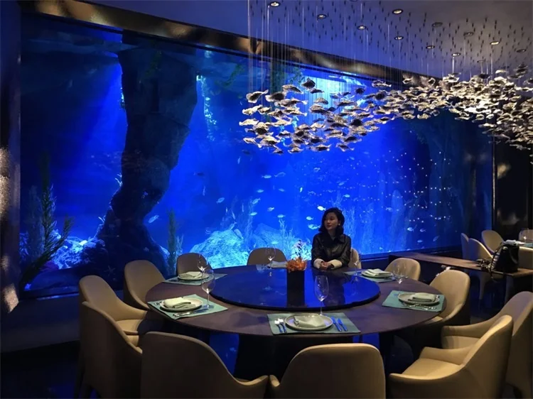 Beautiful Acrylic Fish Tanks Are Used in Restaurant Aquariums & Accessories Plastic 100% Imported Lucite After Filtering 500l