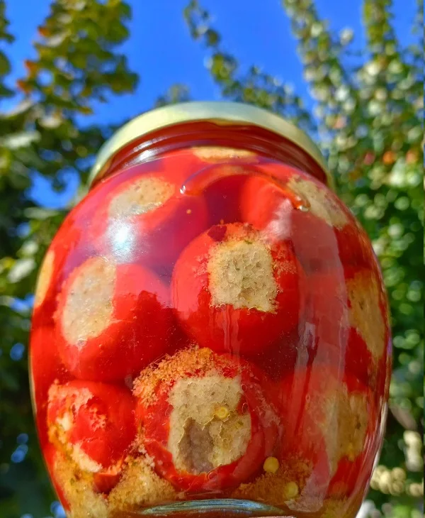 Finest Superior Quality Tasty Vegetable Peppers Stuffed With Tuna With Olive Oil Perfect and Delicius Dishes